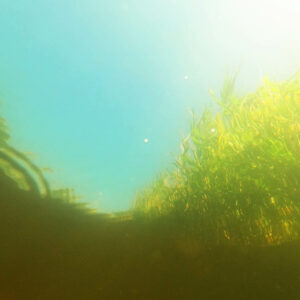 Foto onder water
